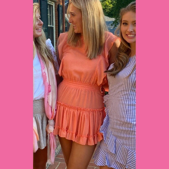 Misa Los Angeles Dresses & Skirts - Miss dress